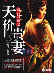 钻石闪婚之天价贵妻 笔趣阁