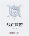 大型团战网游