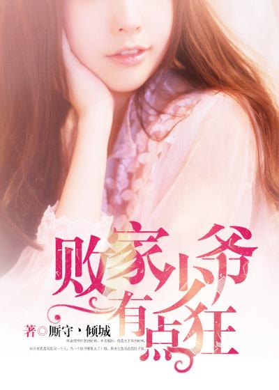 败家小王爷