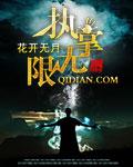 执掌无限全部章节在线阅读