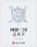 网游三国之天下三国