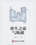 重生之官场纵横