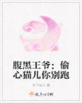 腹黑王爷心尖宠妃