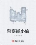 警察抓小偷英文翻译