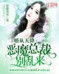 总裁大人请息怒