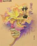 重生之神级歌手全文