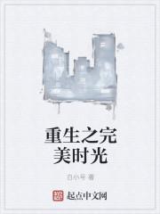 重生之完美时代