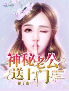神秘老公宠妻要给力免费阅读全文