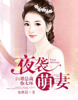 闪婚总裁夜夜忙全文免费阅读