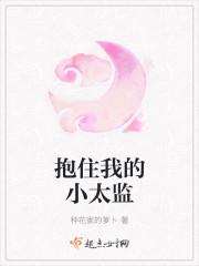 抱住我的小太监无弹窗