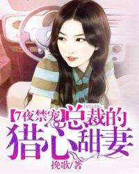 总裁的七夜欢寻在线阅读