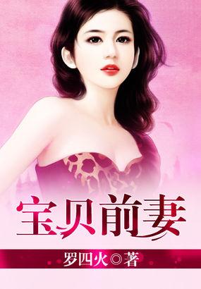 宝贝前妻请爱我免费阅读