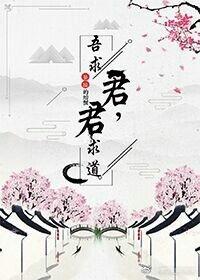 君求道吾求君晋江