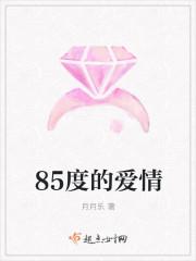 85爱情啥意思