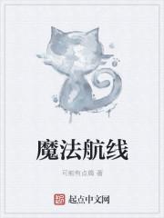 魔法航线布里