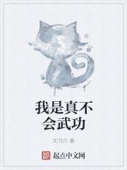 我真的不会武功txt