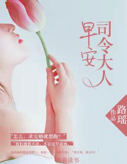 军长大人 作者良辰一夜