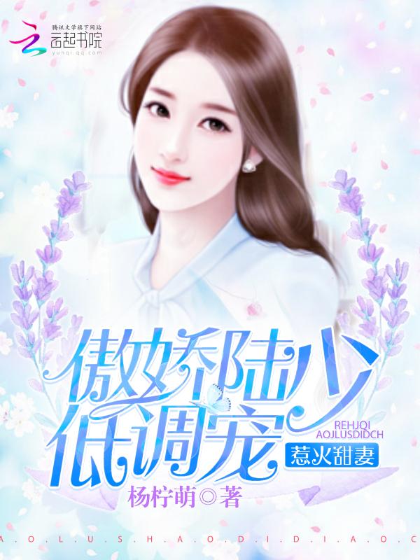 陆少私宠惹火妻