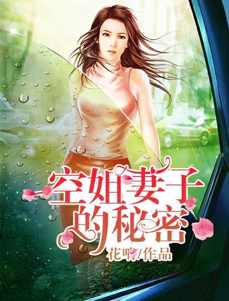 空姐妻子的秘密hd