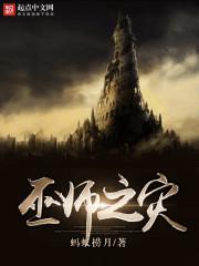 巫师之灾全集