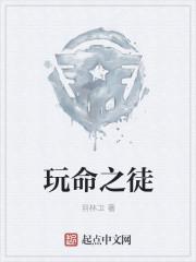 玩命之徒 纵贯线伴奏