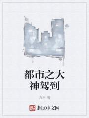 都市之神级大佬在线全文阅读