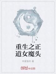 女魔头男正道的