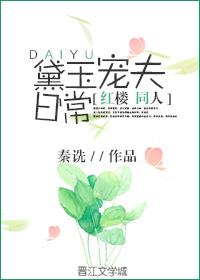 红楼之黛玉护夫