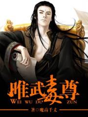 唯武独尊游戏怎么样