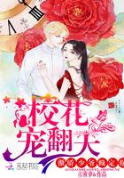 傲娇校花痞高手免费阅读