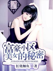 富豪小区美女的秘密书