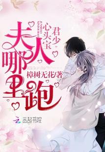 君少心头宝夫人哪里跑出版了吗