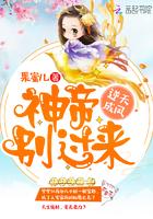 逆天神帝境界