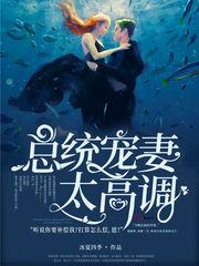 总统宠妻太高调书包网