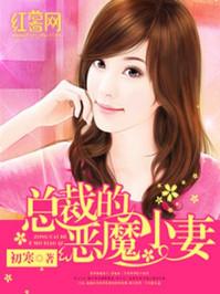 总裁的恶魔小妻全文