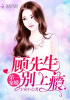 顾先生的第一宠婚 - 正版免费