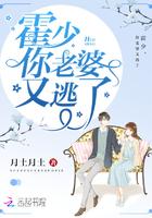 霍少你老婆又逃了全文阅读