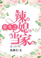 重生之辣媳当家13