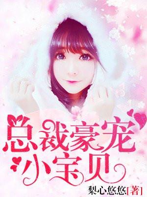 总裁豪宠小宝贝txt