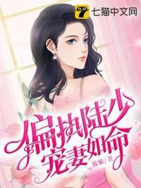偏执陆少宠妻如命在线观看