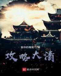 攻略大清类似