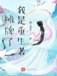 摊牌了我是重生者 清朝文人