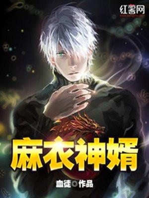 麻衣神婿好看吗