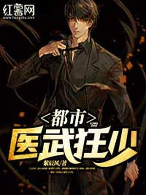 都市医武狂少石枫
