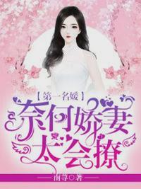 第一名媛凌霄盛莞莞主角全文免费阅读
