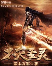 不灭圣灵免费阅读