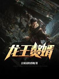 龙王婿江辰