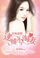 首席溺宠小逃妻免费阅