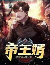 帝王婿tXt免费