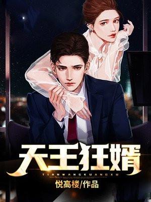 天王狂婿全集视频